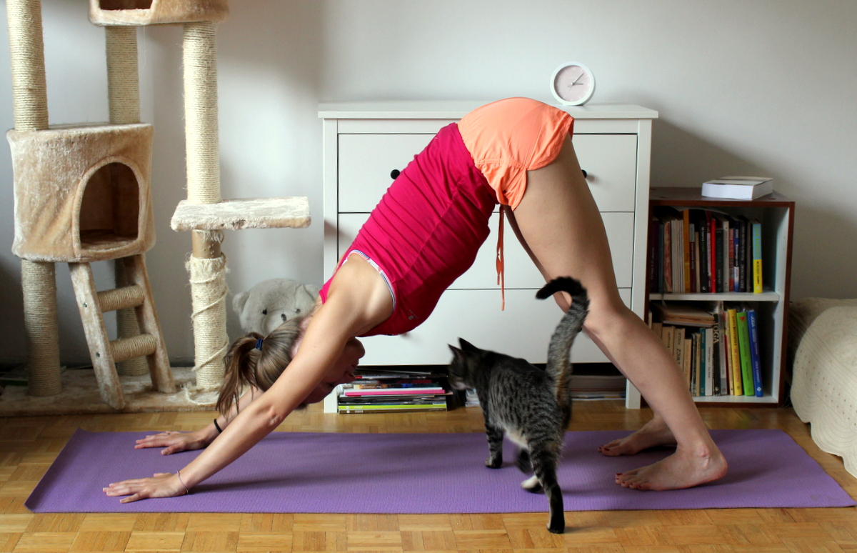 Co daje joga i jak zacząć ćwiczyć - Praktyka jogi w domu